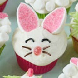 Easter Bunny. Any flavor cupcake with Butter Cream Frosting and Candy decorations. 