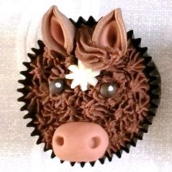 Pony. Any Flavor Cupcakes with Butter Cream Frosting and Candy decorations.