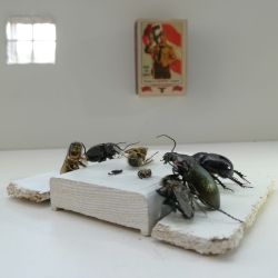 Viimeienen ehtoollinen -Marko Erälinna